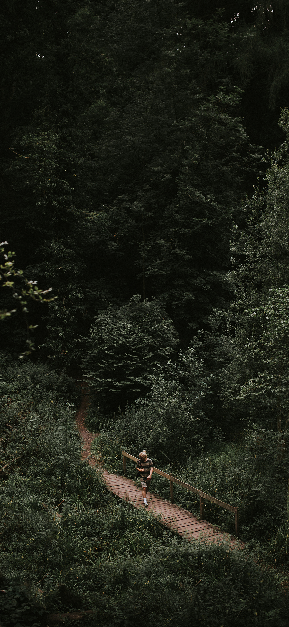 [2436×1125]户外 山林 锻炼 大自然 苹果手机壁纸图片