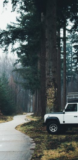 [2436x1125]户外 汽车 道路 小路 苹果手机壁纸图片