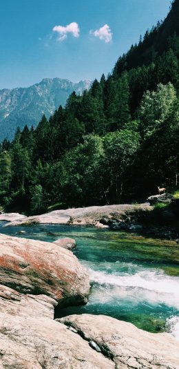 [2436x1125]户外 珊瑚 流水 高山 树林