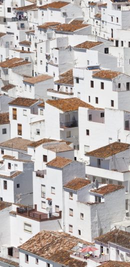 [2436x1125]房屋 城市 住宅 建筑 苹果手机壁纸图片