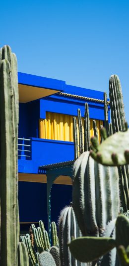 [2436x1125]房屋 建筑 仙人掌 巨大 苹果手机壁纸图片