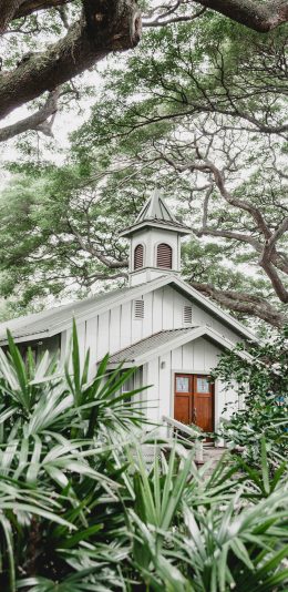 [2436x1125]房屋 建筑 树林 独栋 苹果手机壁纸图片