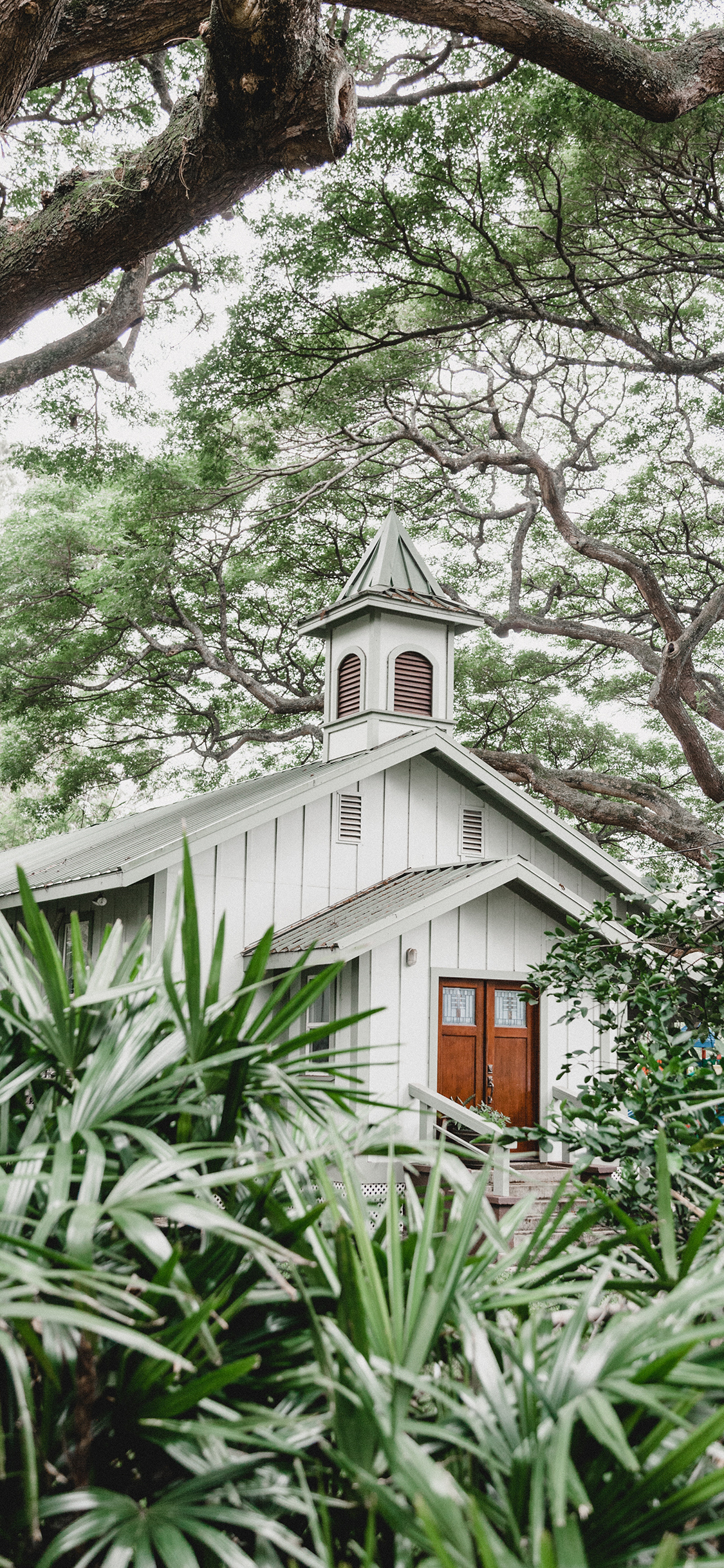 [2436×1125]房屋 建筑 树林 独栋 苹果手机壁纸图片