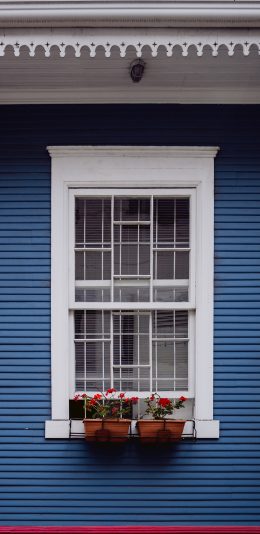 [2436x1125]房屋 窗台 盆栽 鲜花 苹果手机壁纸图片