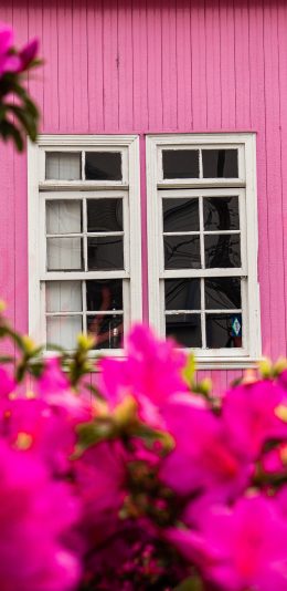 [2436x1125]房屋 窗户 鲜花 粉色系 苹果手机壁纸图片
