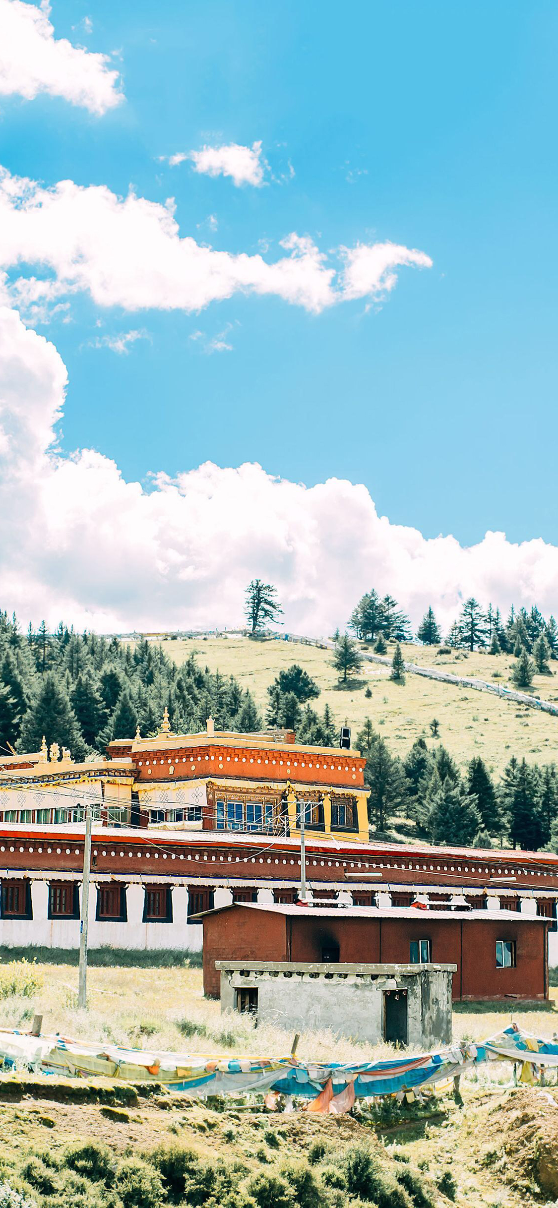 [2436×1125]房屋 藏族 少数民族 草原 苹果手机壁纸图片