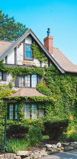 [2436x1125]房屋 藤蔓 建筑 清新 苹果手机壁纸图片