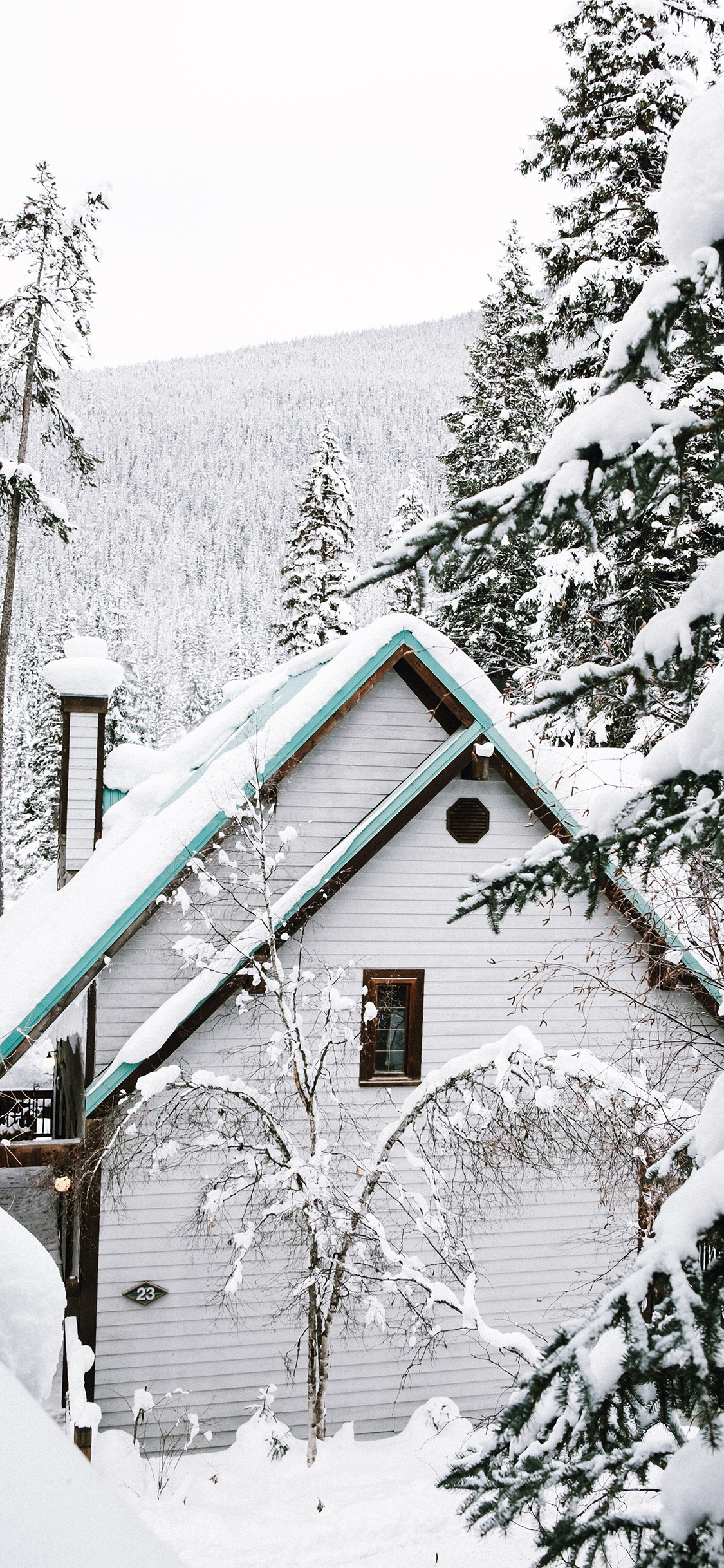 [2436×1125]房屋 雪季 针叶林 厚雪 苹果手机壁纸图片