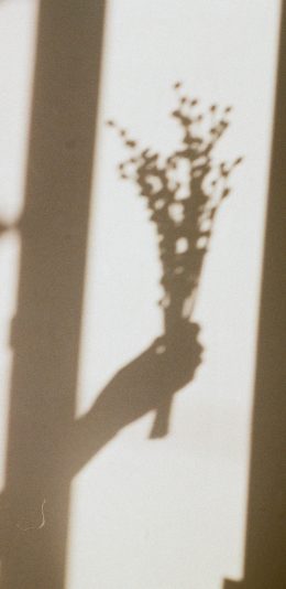 [2436x1125]投影 花束 阳光 唯美 苹果手机壁纸图片