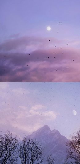 [2436x1125]拼接 自然 傍晚 飞鸟 山峰 美景 唯美 苹果手机壁纸图片