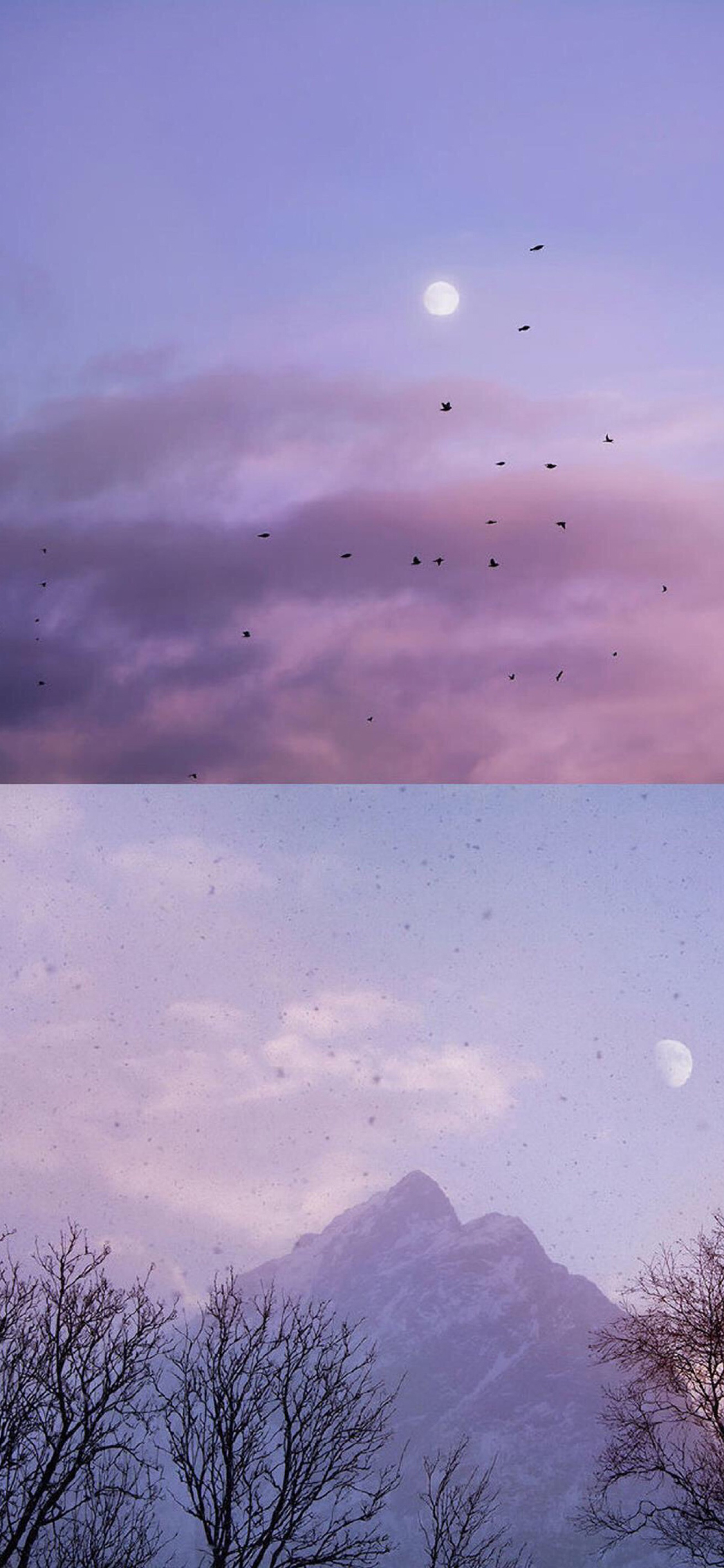 [2436×1125]拼接 自然 傍晚 飞鸟 山峰 美景 唯美 苹果手机壁纸图片