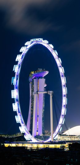 [2436x1125]摩天轮 夜景 灯光 延时 娱乐 苹果手机壁纸图片