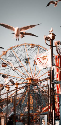 [2436x1125]摩天轮 游乐场 娱乐设施 鸟 苹果手机壁纸图片