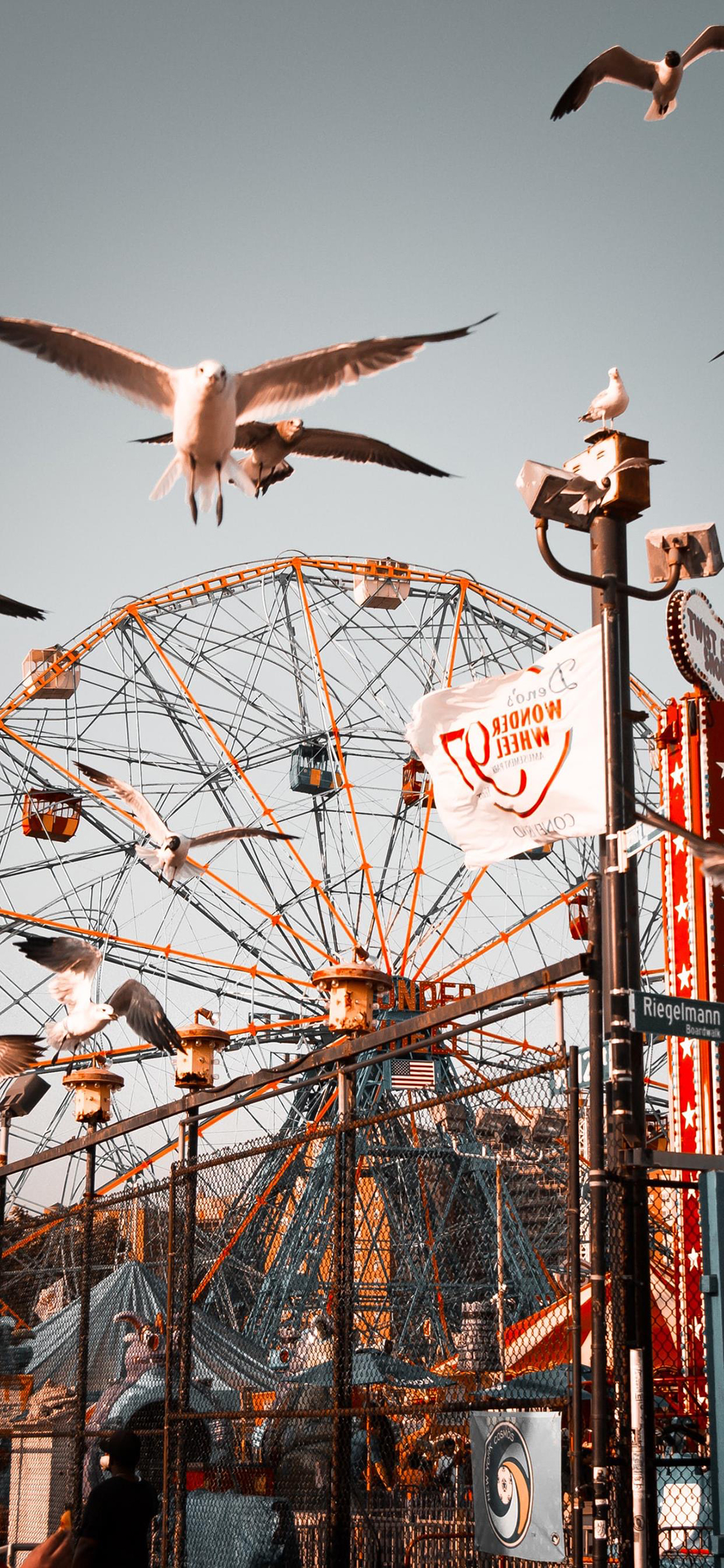 [2436×1125]摩天轮 游乐场 娱乐设施 鸟 苹果手机壁纸图片