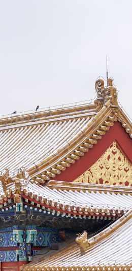 [2436x1125]故宫 下雪 冬季 屋檐 建筑 苹果手机壁纸图片