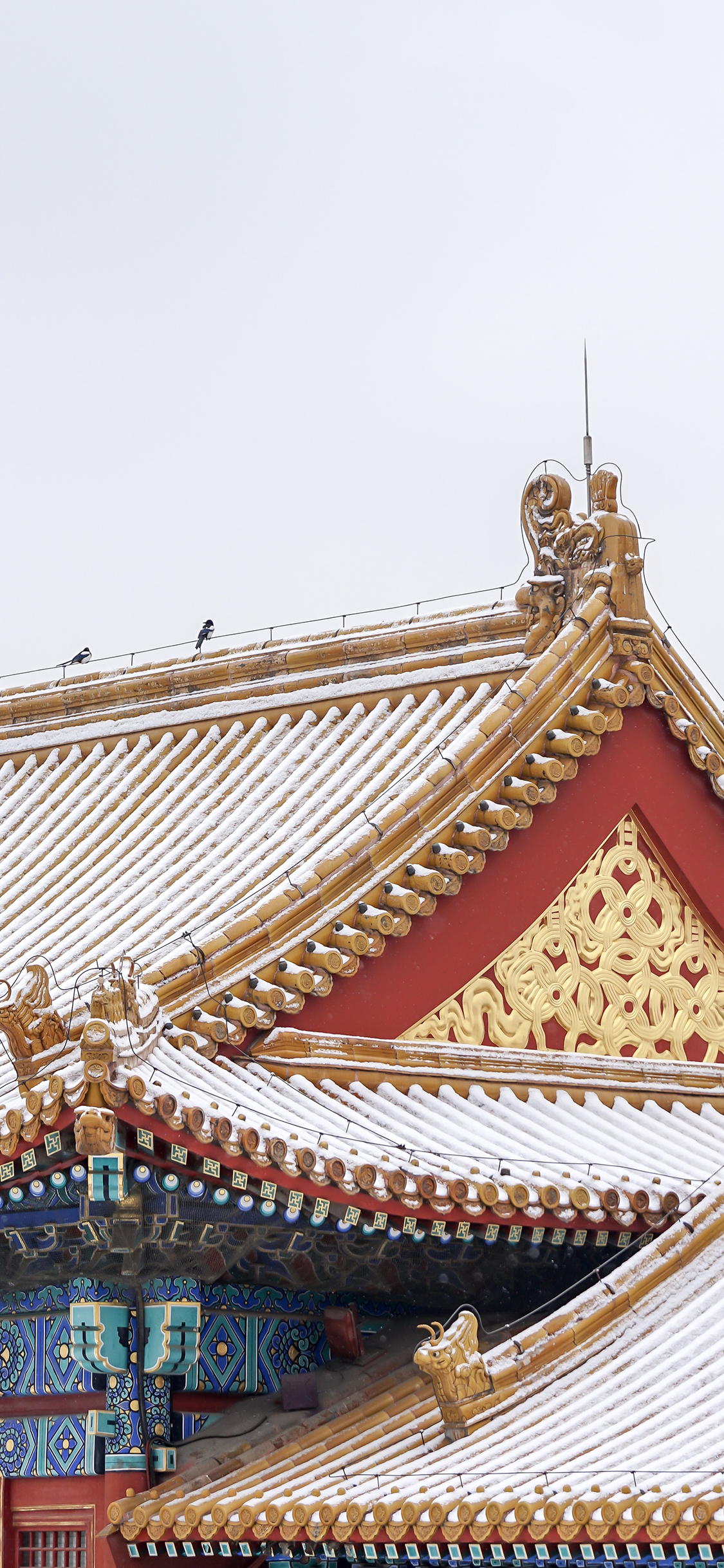 [2436×1125]故宫 下雪 冬季 屋檐 建筑 苹果手机壁纸图片