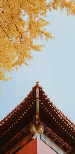 [2436x1125]故宫 屋檐 建筑 紫禁城 瓦片 苹果手机壁纸图片