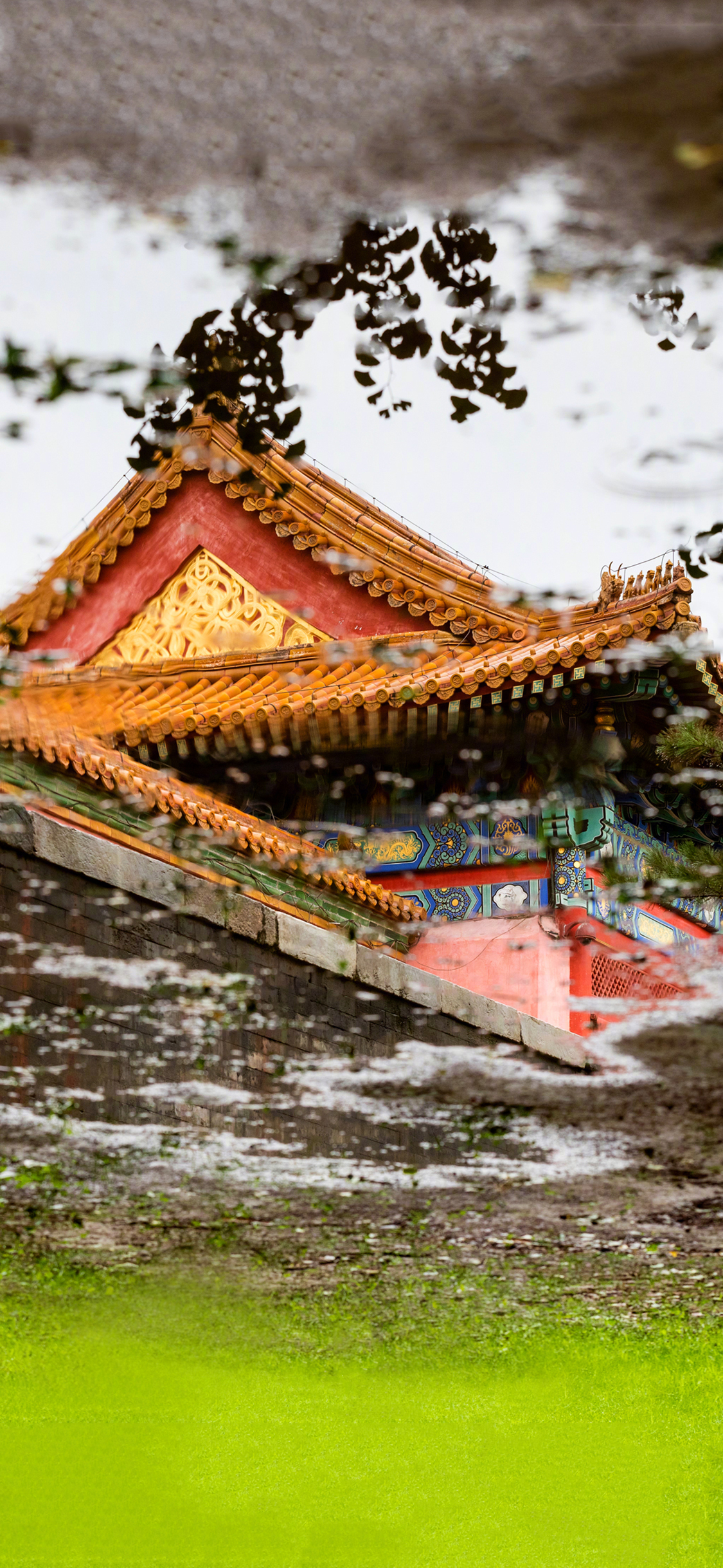 [2436×1125]故宫 建筑 屋檐 瓦片 水 苹果手机壁纸图片