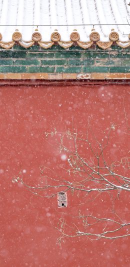 [2436x1125]故宫 瓦片 建筑 红色 下雪 紫禁城 苹果手机壁纸图片