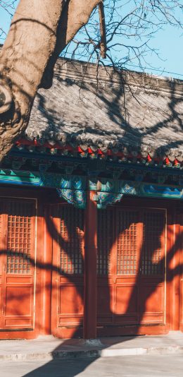 [2436x1125]故宫 院落 瓦片 树木 叶子 苹果手机壁纸图片