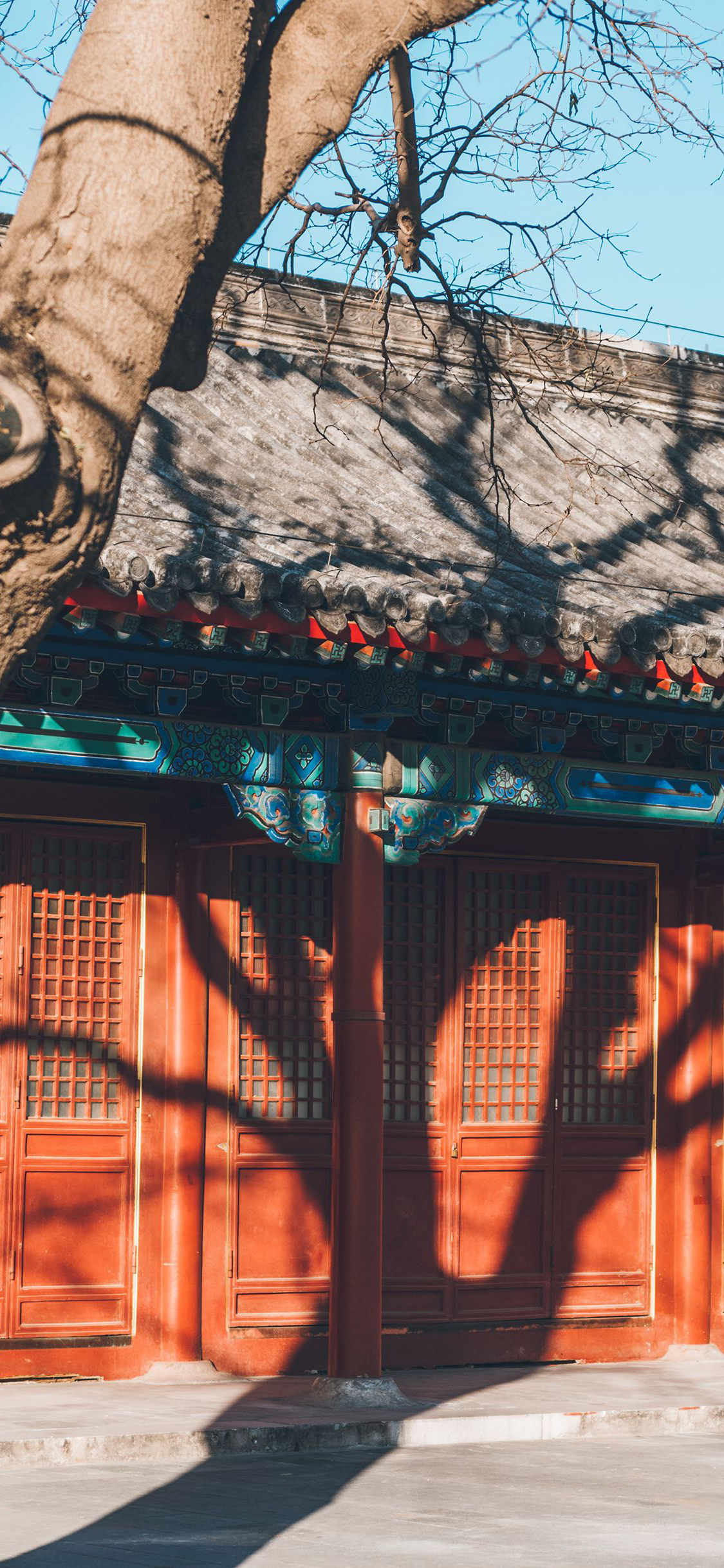 [2436×1125]故宫 院落 瓦片 树木 叶子 苹果手机壁纸图片