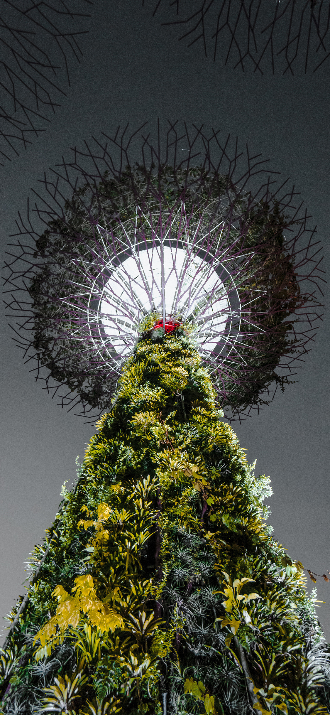 [2436×1125]新加坡 地标 滨海湾花园 苹果手机壁纸图片