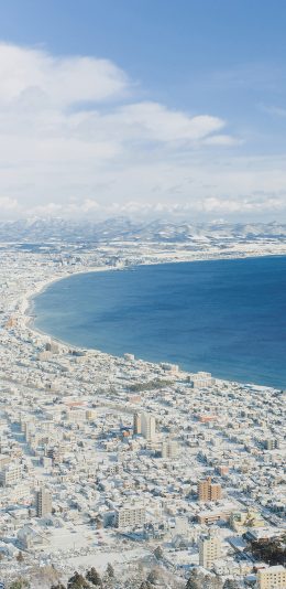 [2436x1125]日本 北海道 俯拍 白雪覆盖 苹果手机壁纸图片