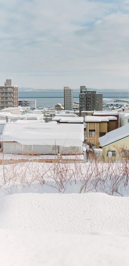[2436x1125]日本 北海道 冬季 雪景 苹果手机壁纸图片