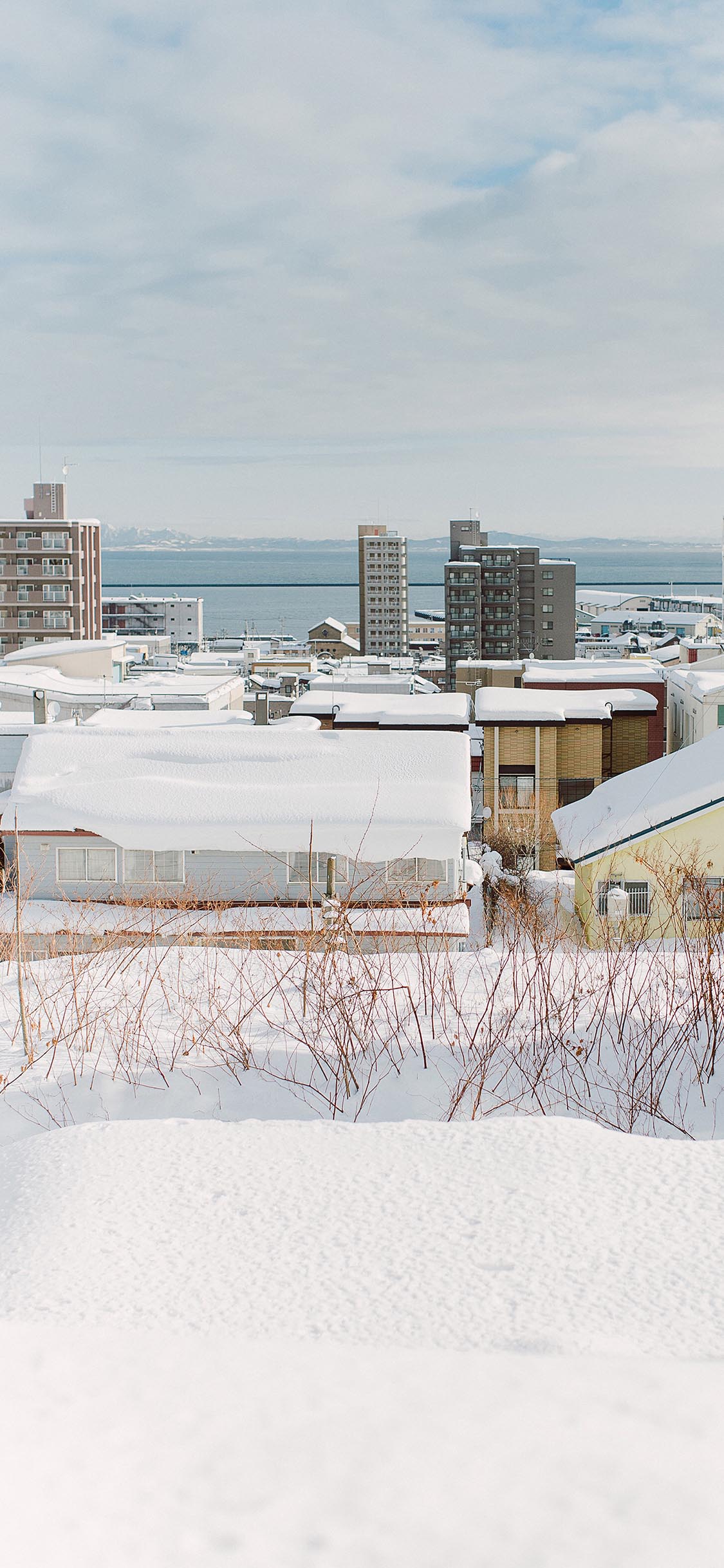 [2436×1125]日本 北海道 冬季 雪景 苹果手机壁纸图片