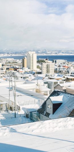 [2436x1125]日本 北海道 白雪覆盖 美景 苹果手机壁纸图片