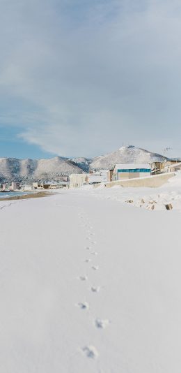 [2436x1125]日本 北海道 雪景 脚印 苹果手机壁纸图片