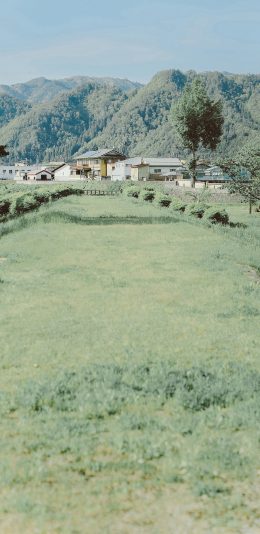 [2436x1125]日本 城市 小清新 绿色 草坪 苹果手机壁纸图片