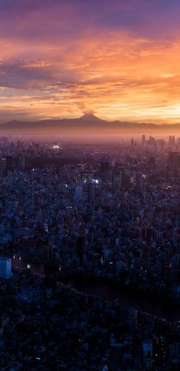 [2436x1125]日本 城市 建筑 密集 楼房 富士山 苹果手机壁纸图片