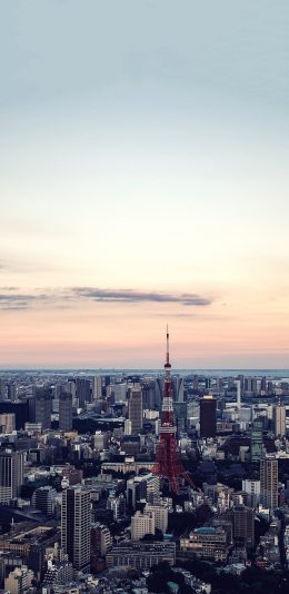 [2436x1125]日本 城市 建筑 楼房 东京塔 苹果手机壁纸图片