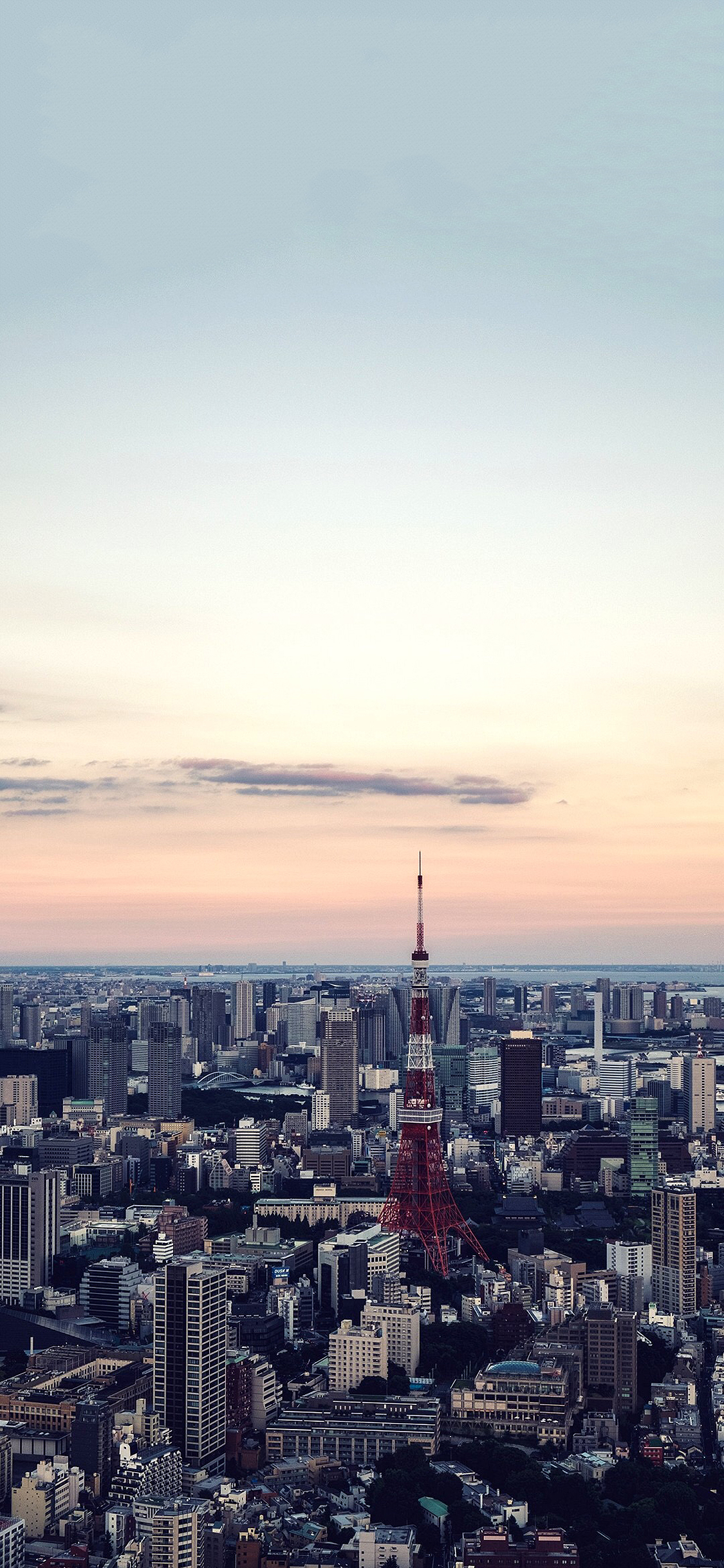 [2436×1125]日本 城市 建筑 楼房 东京塔 苹果手机壁纸图片