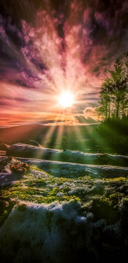 [2436x1125]日落 夕阳 景色 奇幻 苹果手机壁纸图片