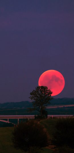 [2436x1125]日落 夕阳美景 郊外 苹果手机壁纸图片