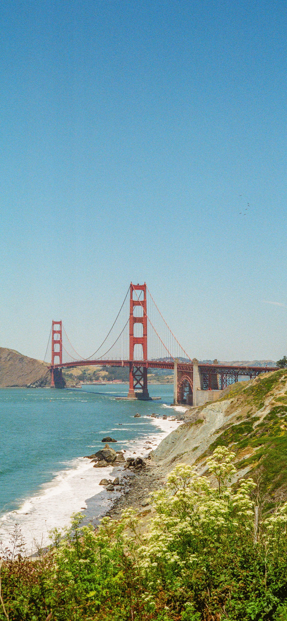 [2436×1125]旧金山 金门大桥 河流 地标 苹果手机壁纸图片