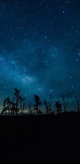 [2436x1125]星空 夜晚 夜空 天空 苹果手机壁纸图片