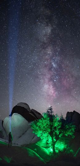 [2436x1125]星空 夜晚 树木 石山 苹果手机壁纸图片