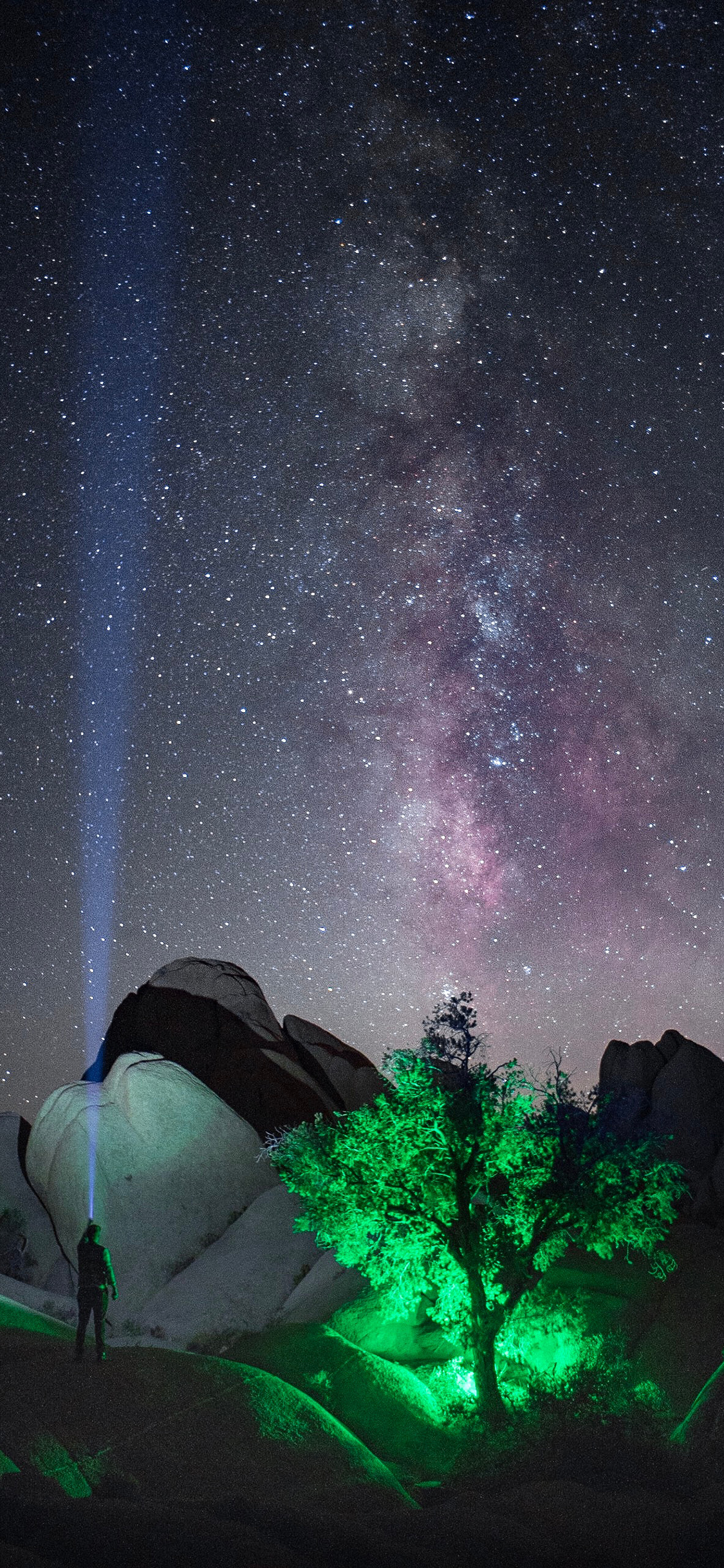 [2436×1125]星空 夜晚 树木 石山 苹果手机壁纸图片