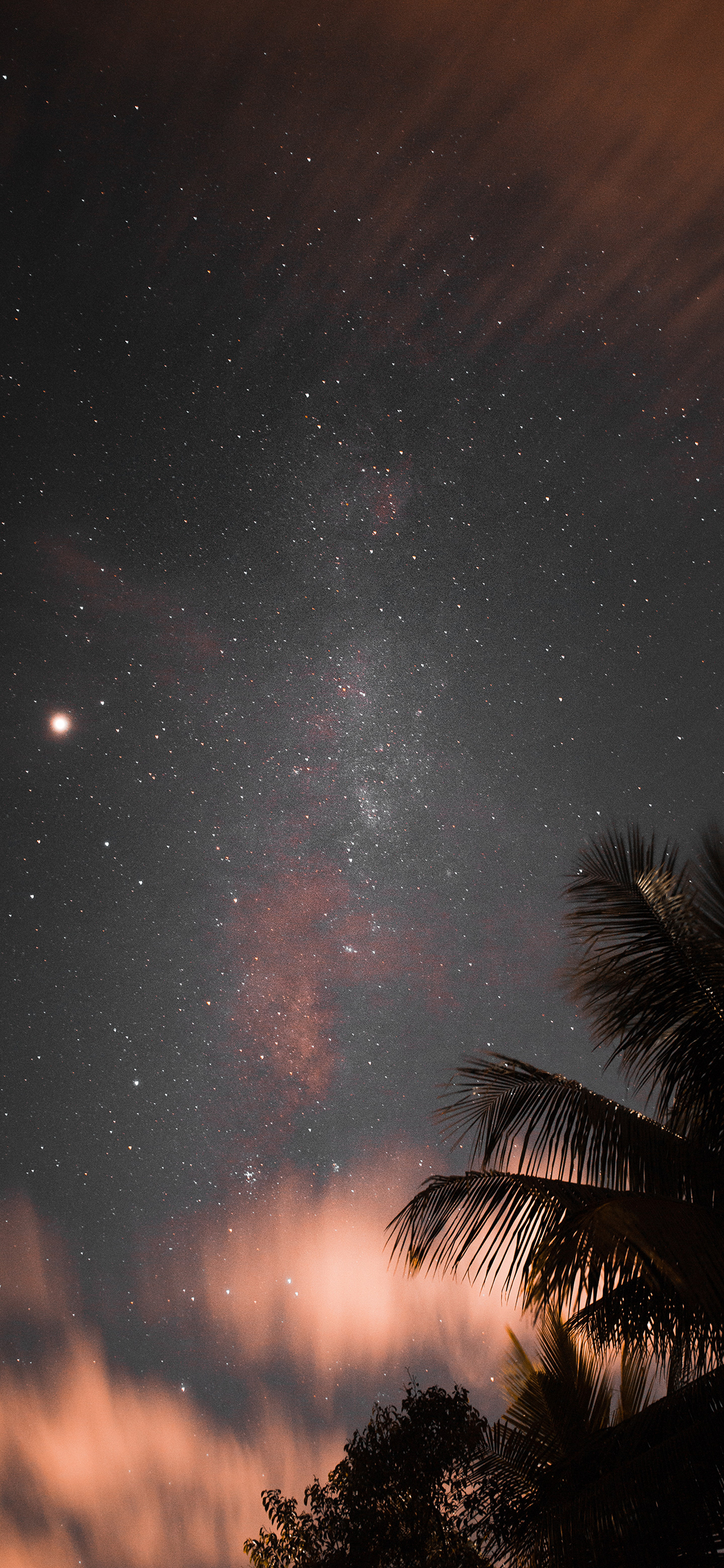 [2436×1125]星空 夜景 椰树 梦幻 苹果手机壁纸图片
