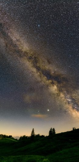 [2436x1125]星空 夜景 草坪 树木 苹果手机壁纸图片