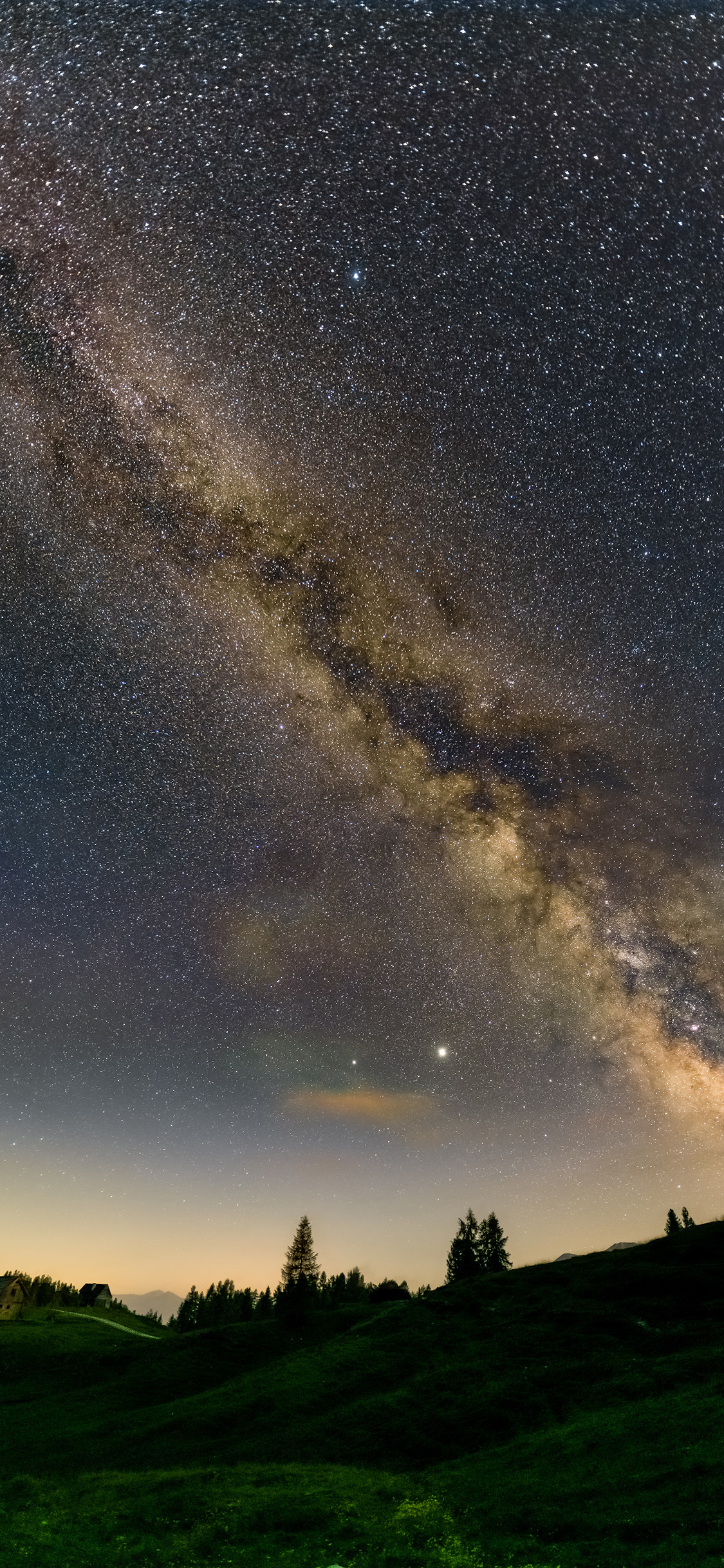 [2436×1125]星空 夜景 草坪 树木 苹果手机壁纸图片