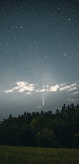 [2436x1125]星空 夜景 草坪 森林 苹果手机壁纸图片