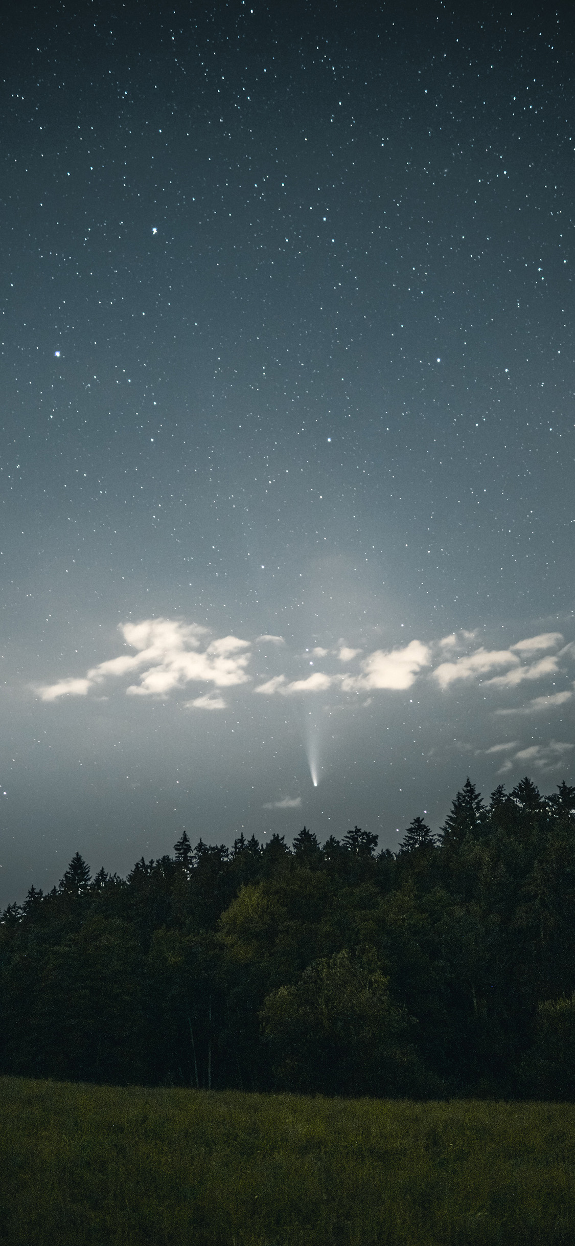 [2436×1125]星空 夜景 草坪 森林 苹果手机壁纸图片