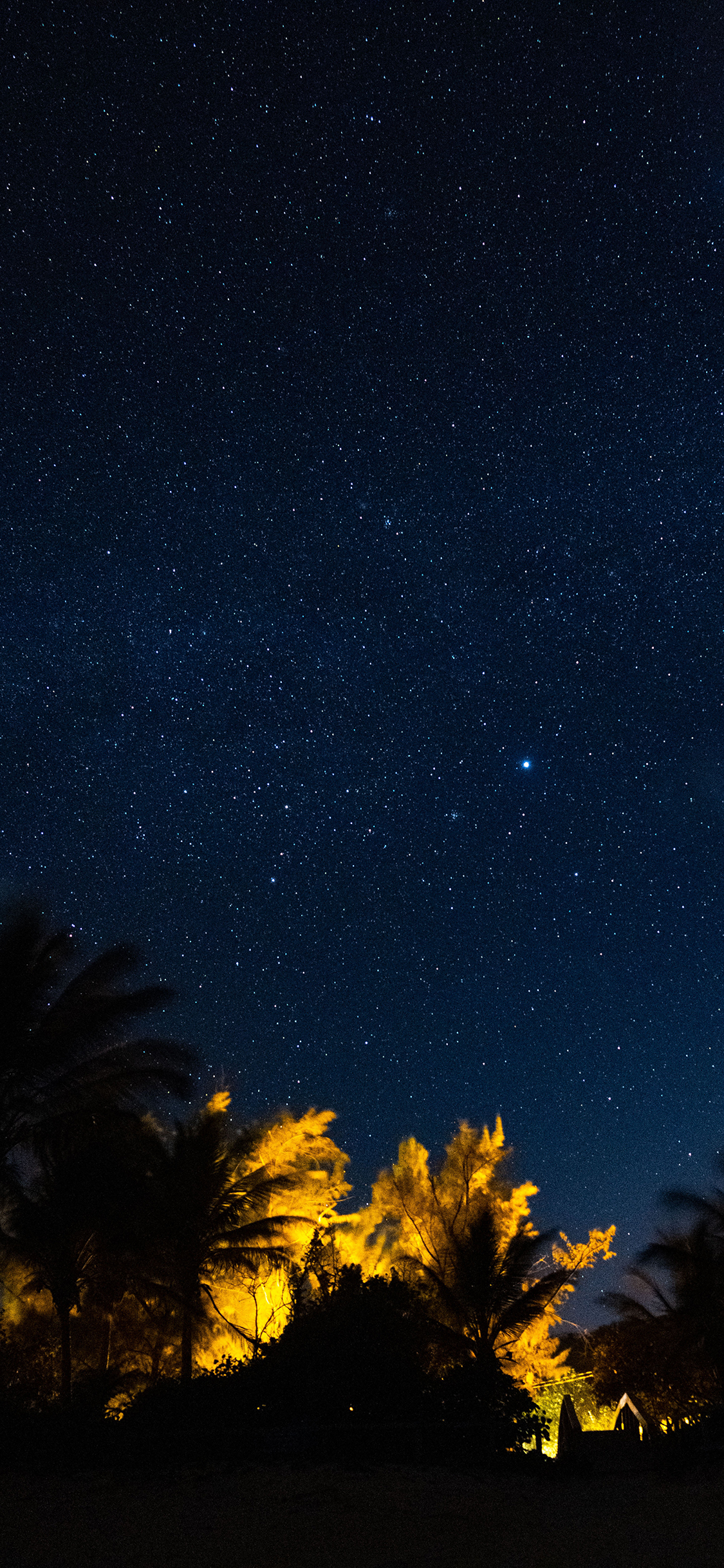 [2436×1125]星空 夜空 树木 静谧 苹果手机壁纸图片