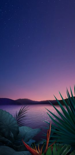 [2436x1125]星空 夜空 龟背竹 水面 植被 苹果手机壁纸图片