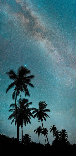 [2436x1125]星空 椰树 银河 璀璨 唯美 苹果手机壁纸图片