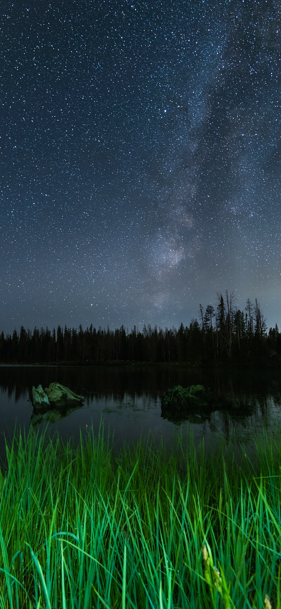 [2436×1125]星空 池塘 青草 夜景 苹果手机壁纸图片